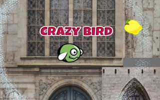 Image CrazyBirdCity